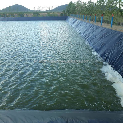 Geomembrana de HDPE de largura de 1 a 8 m para a criação de camarão de peixe, com máxima proteção e eficiência