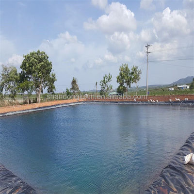 Geomembrana de HDPE de largura de 1 a 8 m para a criação de camarão de peixe, com máxima proteção e eficiência
