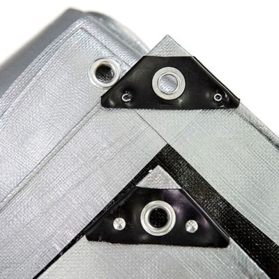 Rolos de lona de PE branco revestidos de LDPE para protecção à prova d'água e à prova d'olho contra os raios UV