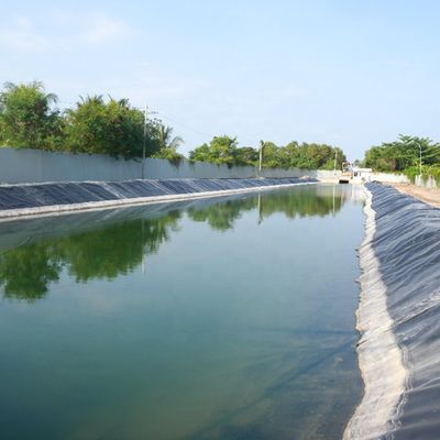 Empresa de revestimento de geomembranas LDPE HDPE para máquinas de ligação de revestimento de lagoas em piscinas