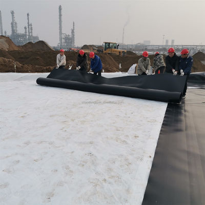 Geomembrana de tanque de peixe de plástico para material de revestimento de HDPE e criação de lagostas na mina, etc.