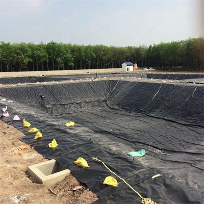 Agricultura de peixes Lagoa Barragem Lixeira de aterros HDPE Geomembrana 0,5 mm 0,75 mm 1,0 mm 1,5 mm 2,0 mm 3,0 mm
