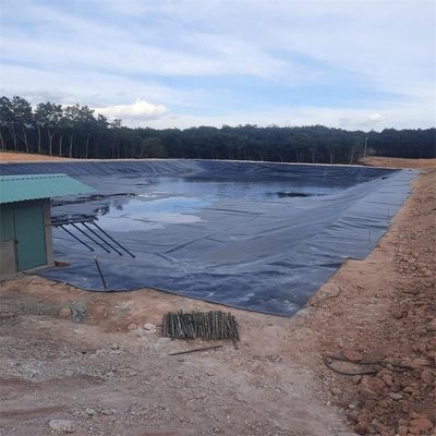 Agricultura de peixes Lagoa Barragem Lixeira de aterros HDPE Geomembrana 0,5 mm 0,75 mm 1,0 mm 1,5 mm 2,0 mm 3,0 mm