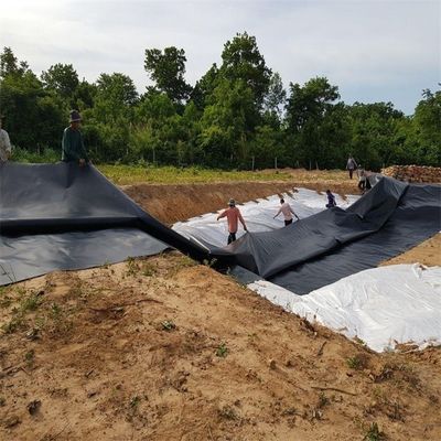 Agricultura de peixes Lagoa Barragem Lixeira de aterros HDPE Geomembrana 0,5 mm 0,75 mm 1,0 mm 1,5 mm 2,0 mm 3,0 mm