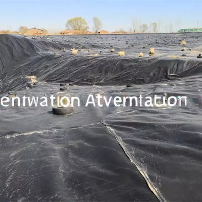 Geomembrana Brilhante Impermeável Estilo de Design Industrial para 0,75mm 1mm 1,5mm HDPE LDPE