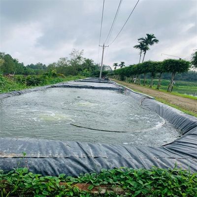 Solução de impermeabilização durável de geomembrana de alta densidade HDPE para revestimento de lagoa de piscifacção