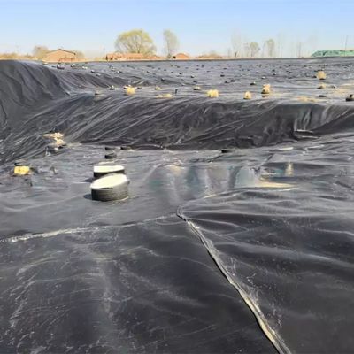 Geomembrana de dupla superfície lisa de 0,5 mm LDPE LLDPE HDPE para revestimento de barragens da indústria pesqueira