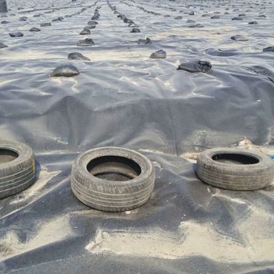 Geomembrana de dupla superfície lisa de 0,5 mm LDPE LLDPE HDPE para revestimento de barragens da indústria pesqueira
