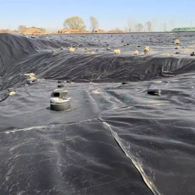 Geomembrana de HDPE de 50-100m de comprimento para revestimento de lago de peixe à prova d'água na piscina
