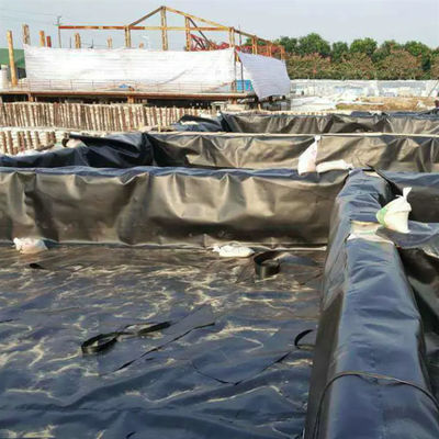 Geomembrana de HDPE de 50-100m de comprimento para revestimento de lago de peixe à prova d'água na piscina