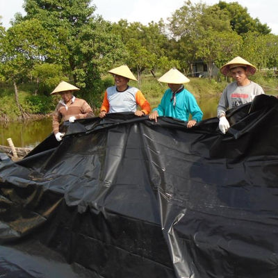 Revestimentos de barragem de plástico à prova d'água 1 mm HDPE Geomembrana Revestimento de lago 2 mm 500 Microns Lago de peixe