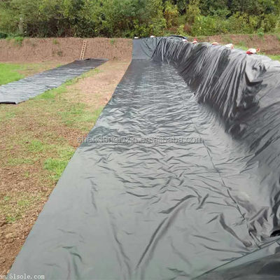 Capacidade de solução do projeto Geomembrana preto de HDPE 0,5 mm para lagoas de criação de camarão
