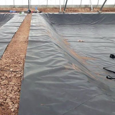Capacidade de solução do projeto Geomembrana preto de HDPE 0,5 mm para lagoas de criação de camarão