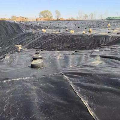 1.0mm Geomembrana 2mm Hdpe Geomembrana 20 Mil Liner de lagoa para geomembranas 1m-8m Largura