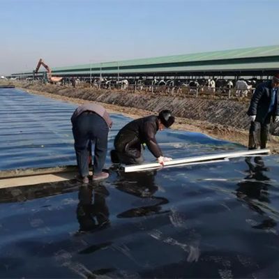 1 mm 2 mm Espessura HDPE Geomembrana Liner de lago de peixe para impermeabilização artificial de lago