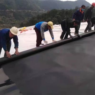 Geomembrana de superfície dupla lisa/de textura dupla de HDPE para revestimento de lago impermeável de plástico