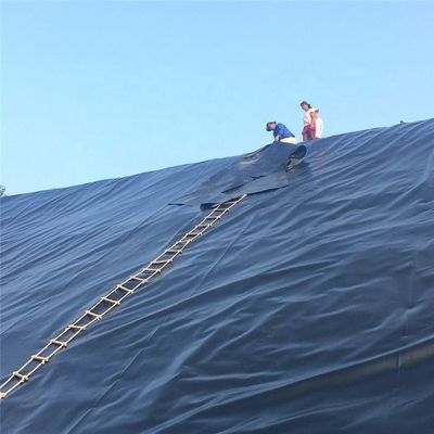 ASTM GRI-GM13 Standard Black White Blue Green HDPE Fish Pond Liner para impermeabilização