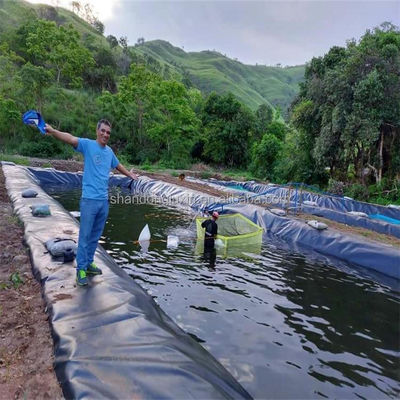 0.75mm HDPE Geoembrana Membrana à prova d'água para aquicultura Peixe e camarão Tanque Liner