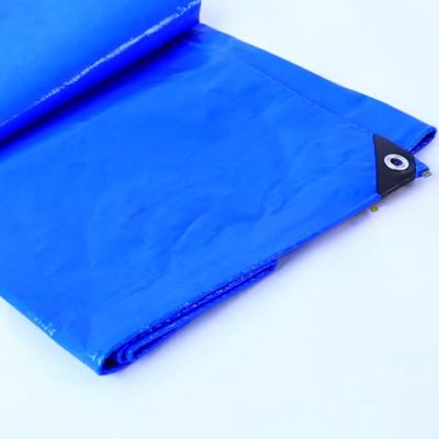 Tarpaulins PE revestidos de peso leve com protecção UV para agricultura