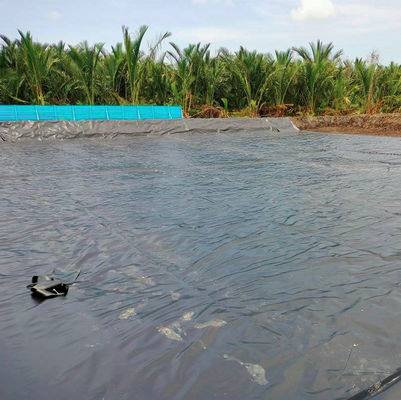 Udg Layfield Geomembrane para o projeto de reservatório da África do Sul em superfície dupla lisa