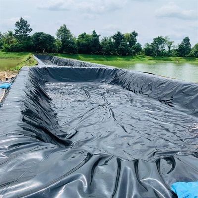 Geomembranas para exterior 0,5 mm 0,75 mm 1,0 mm 1,5 mm 2,0 mm HDPE Fish Dam Pond Liner