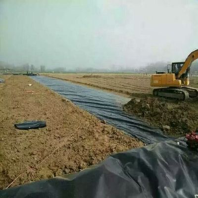 Geomembranas para exterior 0,5 mm 0,75 mm 1,0 mm 1,5 mm 2,0 mm HDPE Fish Dam Pond Liner