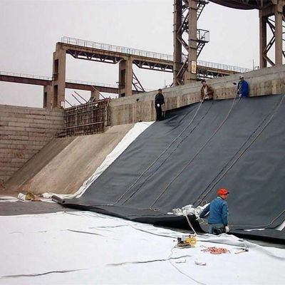Geomembranas para exterior 0,5 mm 0,75 mm 1,0 mm 1,5 mm 2,0 mm HDPE Fish Dam Pond Liner