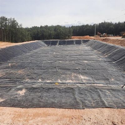 Geomembranas para exterior 0,5 mm 0,75 mm 1,0 mm 1,5 mm 2,0 mm HDPE Fish Dam Pond Liner