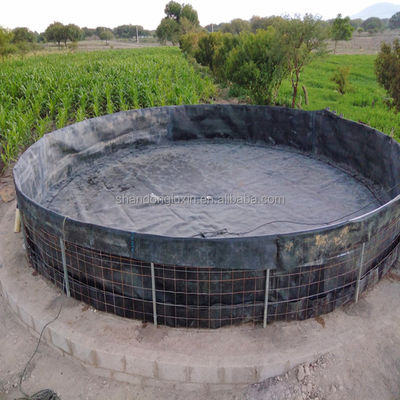 Flexível Hdpe Dam Poço Liner Geomembrana comprimento 50m-100m Para Biodigestor Aquicultura