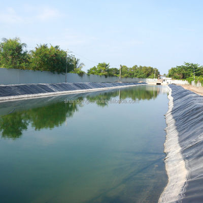 Exterior 0.5mm Peixe Farm lago Liner 0.7mm impermeável Geomembranas Hdpe Liner 1mm Hdpe