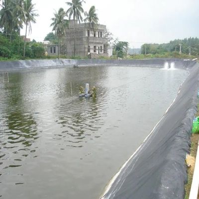 Revestimento de peixe de superfície dupla e lisa Liner HDPE LDPE 1 mm Geomembrana para reservatório de água