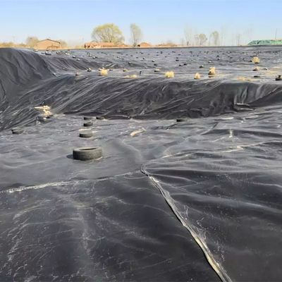Folha de revestimento de geomembrana HDPE de superfície lisa de 0,5 mm para material de lagoa de aquicultura