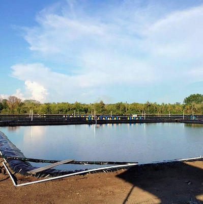 HDPE Geomembrana Liner de lago de peixe 0,3 mm-3 mm Solução total para projetos de impermeabilização