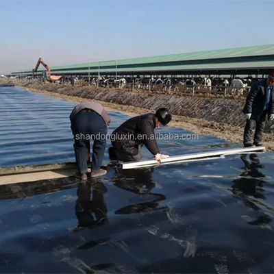 Dupla textura HDPE Geomembrana Liner de lago de peixe em 1m-8m largura para o desempenho