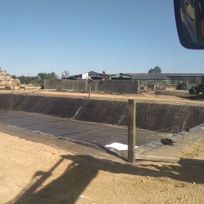 500 Microns HDPE Geomembrane Fish Pond Liner para impermeabilização e impermeabilização