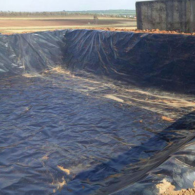 1220 x 2440 mm Folha de Hdpe para revestimento anti-UV de lagoa Folha de plástico Hdpe 500 reciclada