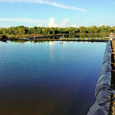 Estilo de Design Industrial 0,5 mm 0,75 mm 1 mm Geomembrana de HDPE para revestimento de lagoas agrícolas