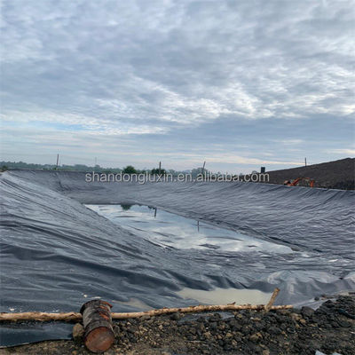 Hdpe Liner de lago de peixe Geomembrana 0,5 mm 0,75 mm 1 mm 1,5 mm Liner de lago redondo para lago de camarão