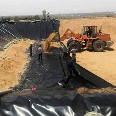 Capacidade de design gráfico Geomembrana 100% virgem de HDPE para construir lago de peixes e camarões
