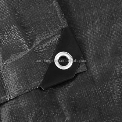 Telas revestidas com padrão Vinyl PE Telas de presas resistentes à água revestidas para cerimônia