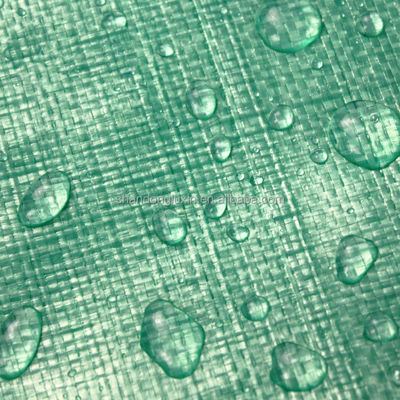 Teto de tenda de lonas de PE verde leve de dois lados para caminhão
