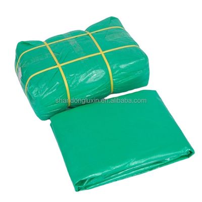 Diretamente de 160 gsm Tarpaulin verde PE para tendas impermeáveis e cobertura de telhado de toldo