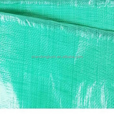 Diretamente de 160 gsm Tarpaulin verde PE para tendas impermeáveis e cobertura de telhado de toldo
