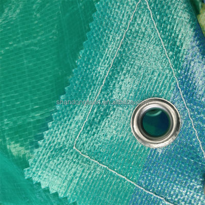 Tela de caminhão personalizável com tecelagem de HDPE e densidade de laminação de LDPE 6*6-16*16
