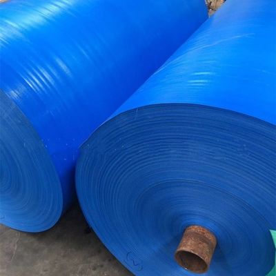 Tenda revestida de lona azul PE para caminhão padrão à prova de chuva contacto contacto