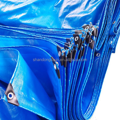 Outdoor-Industry Pe Tarpaulin Korea Eyelets Duffel Bag com Direct e Outro Estilo