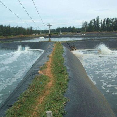 Geomembranas directas de HDPE para estanques de peixe ASTM GRI-GM13 Padrão e de longa duração