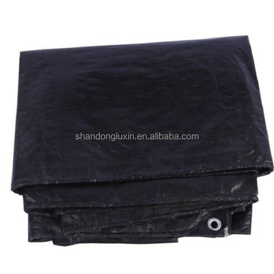 Indústria de exterior Tecido HDPE LDPE Coat impermeável PE lonas Durável e impermeável