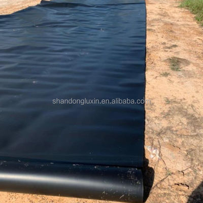 Geomembranas lisas para lagoas de peixes e aterros sanitários Resistentes a rasgos Peças sobressalentes gratuitas