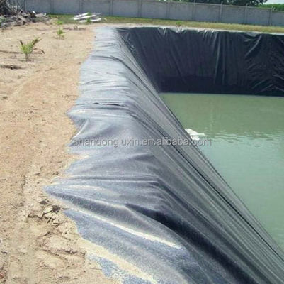 Geomembranas lisas para lagoas de peixes e aterros sanitários Resistentes a rasgos Peças sobressalentes gratuitas